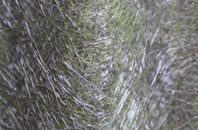 Thompson fibreglass roof work