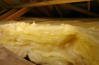 Thompson pitch roof insulation